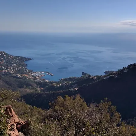 Cap Esterel Village : 2 Pieces Rez De Jardin Centre P1 -281la Διαμέρισμα *